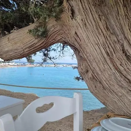 View * אמבלאס