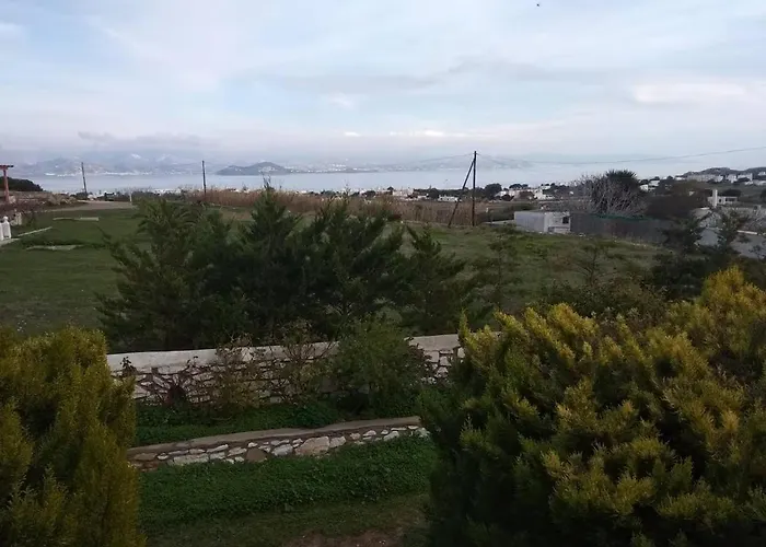 View * אמבלאס